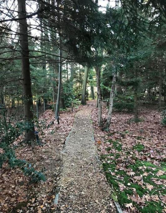 Prachtige In Het Bos Met Sauna!