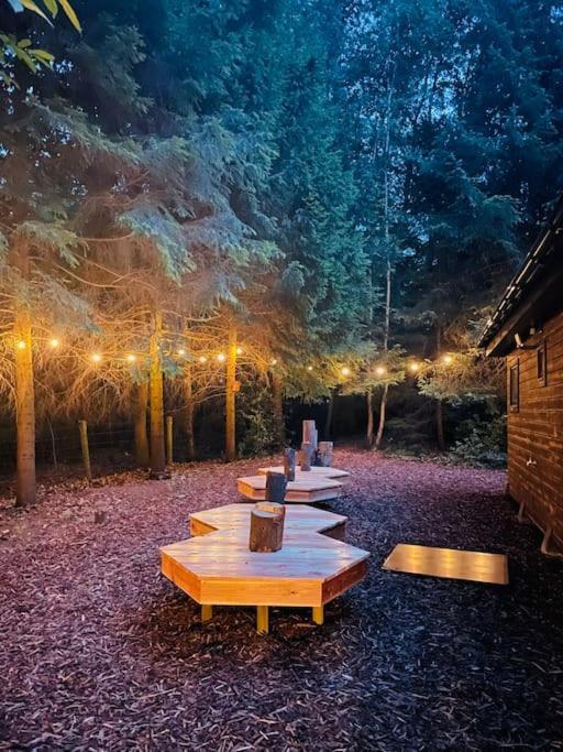 Prachtige In Het Bos Met Sauna! * Lanaken