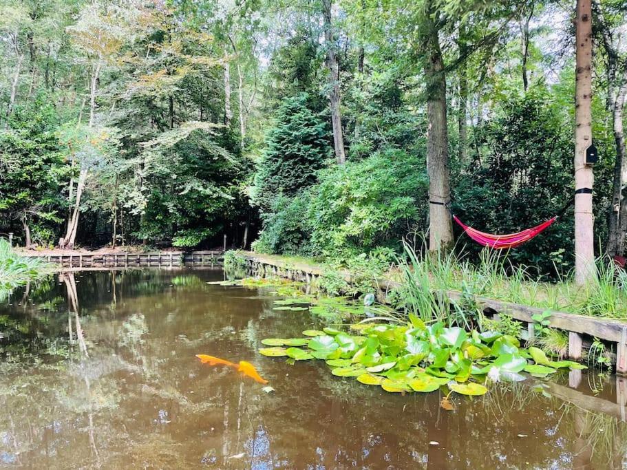 Prachtige In Het Bos Met Sauna!