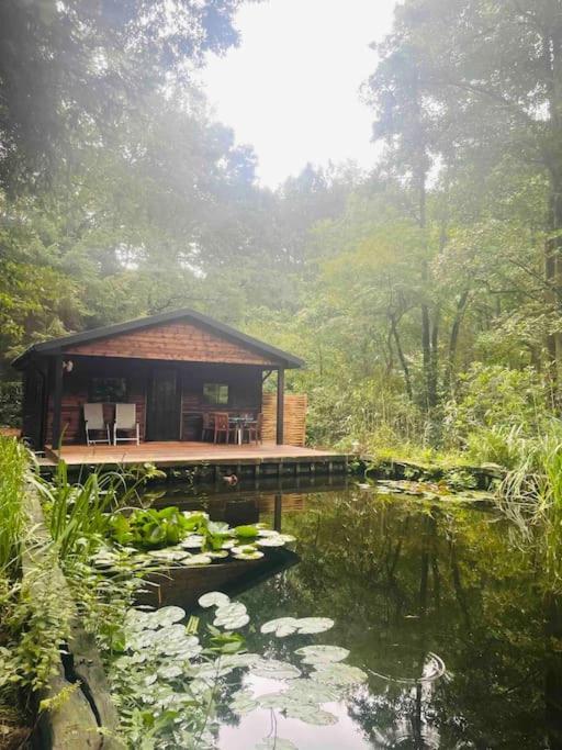Chalet Prachtige In Het Bos Met Sauna!