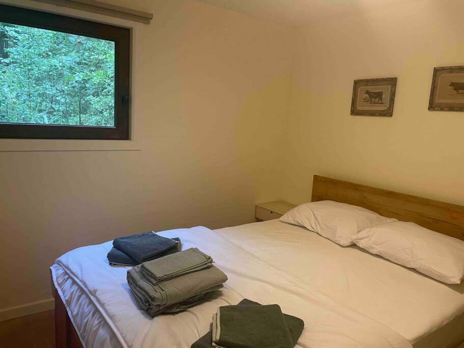 Prachtige In Het Bos Met Sauna! Chalet