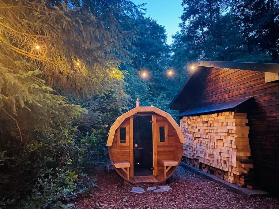 Prachtige In Het Bos Met Sauna!