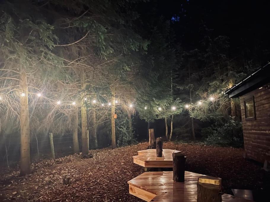 Chalet Prachtige In Het Bos Met Sauna!