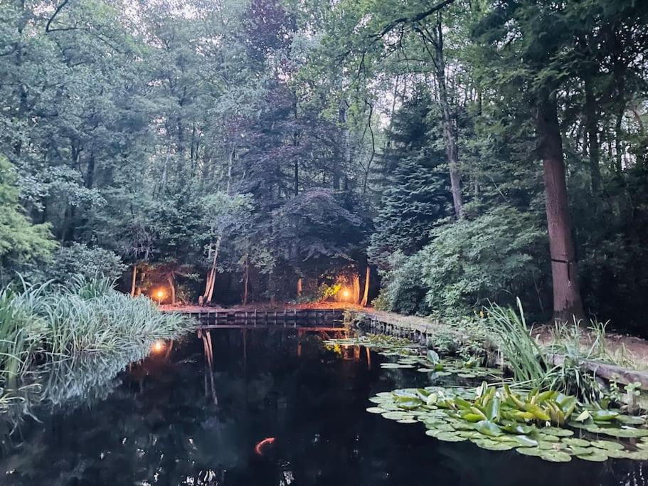Prachtige In Het Bos Met Sauna! Lanaken