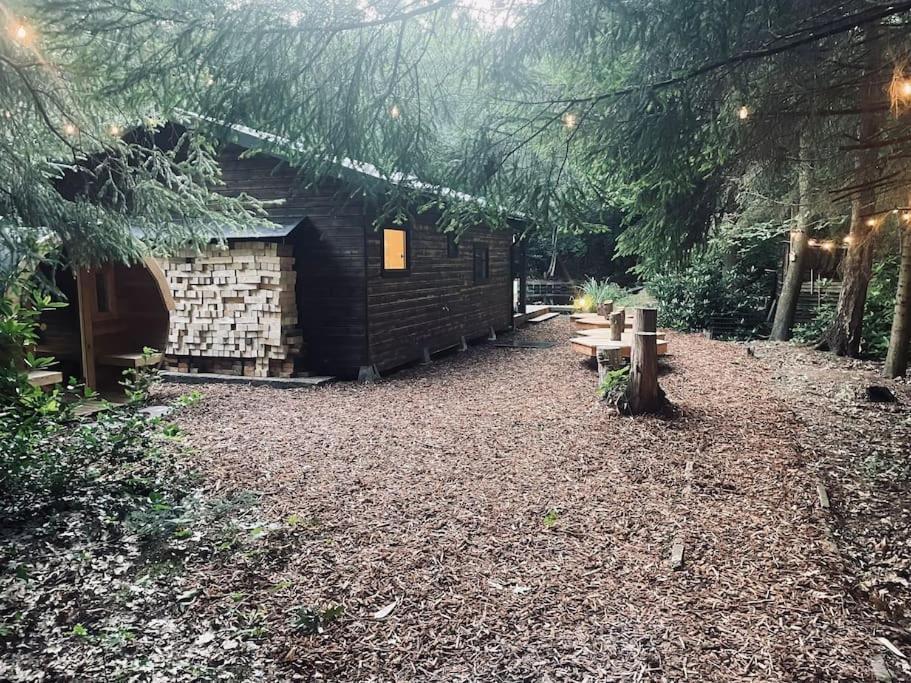 Prachtige In Het Bos Met Sauna! * Lanaken