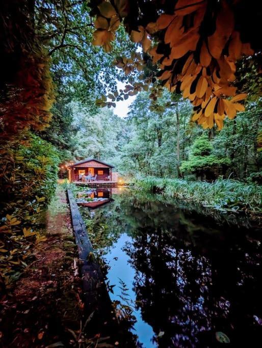 Chalet Prachtige In Het Bos Met Sauna! *